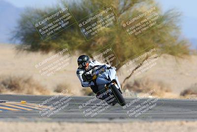 media/Jan-14-2024-SoCal Trackdays (Sun) [[2e55ec21a6]]/Turn 4 Tree of Life (155pm)/